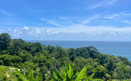 Exclusive Land for Sale on Millionaire’s Mile, Kamala, Phuket