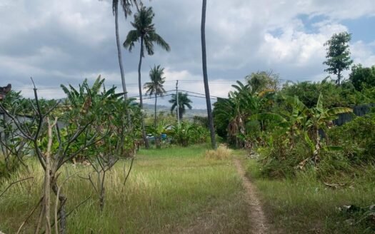 Prime Beachfront Land near Lovina, Bali, for Sale