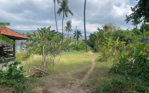 Prime Beachfront Land near Lovina, Bali, for Sale