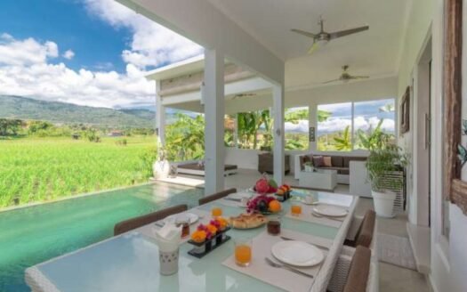 Renovated Villa For Sale in Central Lovina, Bali