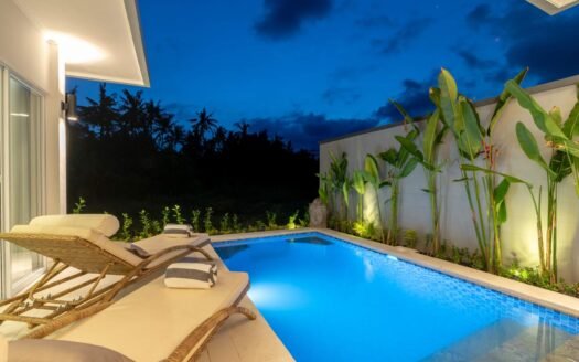 Modern Villa 2 Bedroom For Sale at Lovina Beach, Bali